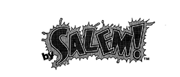 BY SALEM! trademark