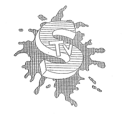 STV trademark