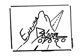ENDURO BLADE trademark