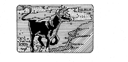 TAURUS trademark