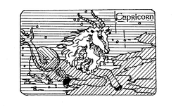 CAPRICORN trademark