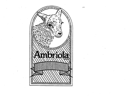 AMBRIOLA BRAND trademark