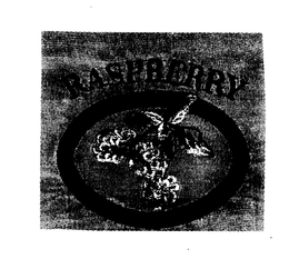 RASPBERRY trademark