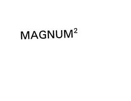 MAGNUM2 trademark