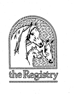 THE REGISTRY trademark
