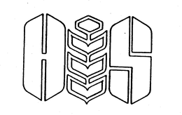 H & S trademark