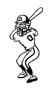 B WILDCAT 0 trademark