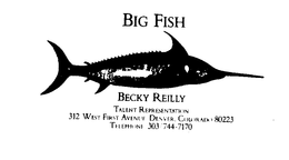 BIG FISH trademark