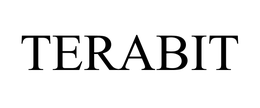 TERABIT trademark