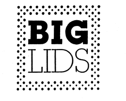 BIG LIDS trademark