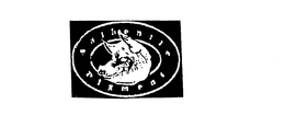 AUTHENTIC PIGMENT trademark