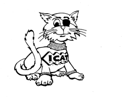 ICAT SYSTEMS, INC. trademark