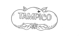 TAMPICO trademark