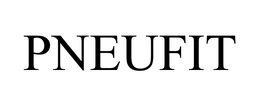 PNEUFIT trademark