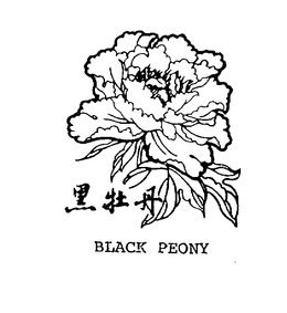 BLACK PEONY trademark