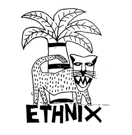 ETHNIX trademark