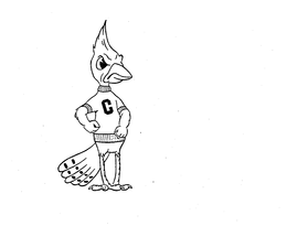 C trademark