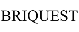 BRIQUEST trademark