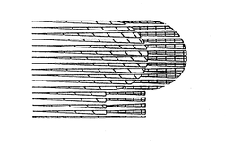 PP trademark