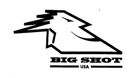 BIG SHOT USA trademark