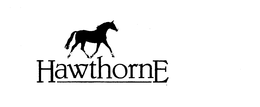 HAWTHORNE trademark