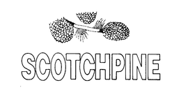 SCOTCHPINE trademark