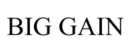 BIG GAIN trademark
