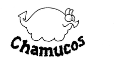 CHAMUCOS trademark