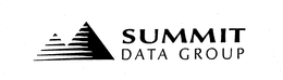 SUMMIT DATA GROUP trademark