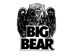 BIG BEAR trademark
