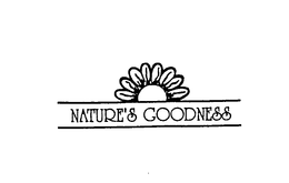 NATURE'S GOODNESS trademark