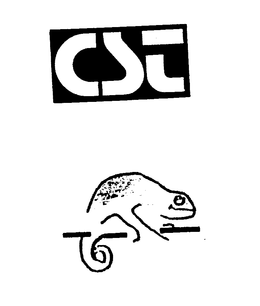 CST trademark