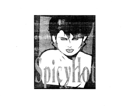 SPICY HOT trademark