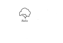 SALIX trademark
