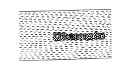 OKAMOTO trademark