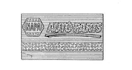 NAPA AUTO PARTS trademark