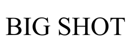BIG SHOT trademark