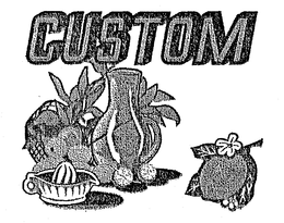 CUSTOM trademark