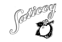 SATICOY trademark