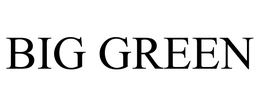 BIG GREEN trademark