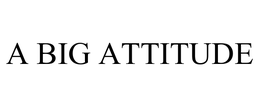A BIG ATTITUDE trademark