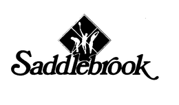 SADDLEBROOK trademark