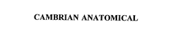 CAMBRIAN ANATOMICAL trademark