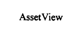 ASSETVIEW trademark