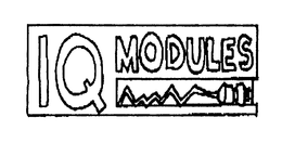 IQ MODULES trademark