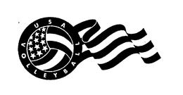 USA VOLLEYBALL trademark