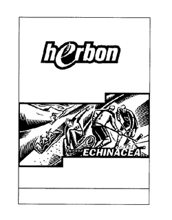 HERBON CONTAINS ORGANIC ECHINACEA trademark