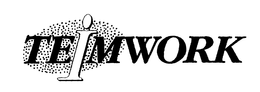 TEIMWORK trademark