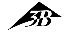 3B trademark