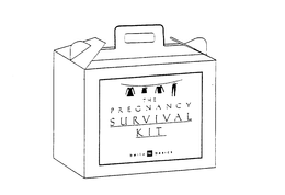 THE PREGNANCY SURVIVAL KIT BELLY BB BASICS trademark